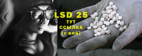 прущие грибы Белокуриха