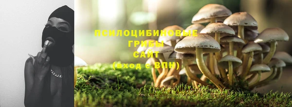кокс Богородск