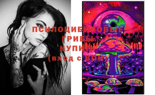 винт Богородицк