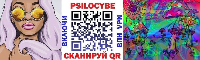 blacksprut вход  Вилючинск  Псилоцибиновые грибы Cubensis 